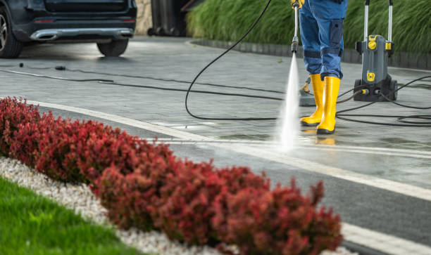 Best Roof Washing  in Cashmere, WA